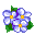 flowers-343